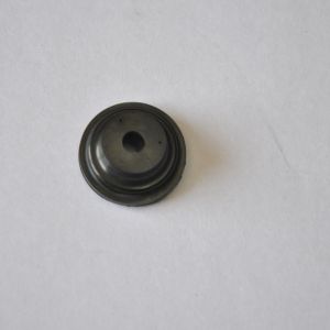 Diaphram
