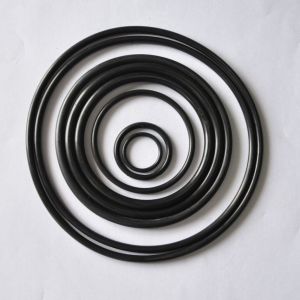 O Ring